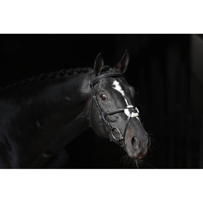 Cancun Bridle Black Pony