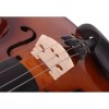 CMT Violin for Beginners Students,Acous