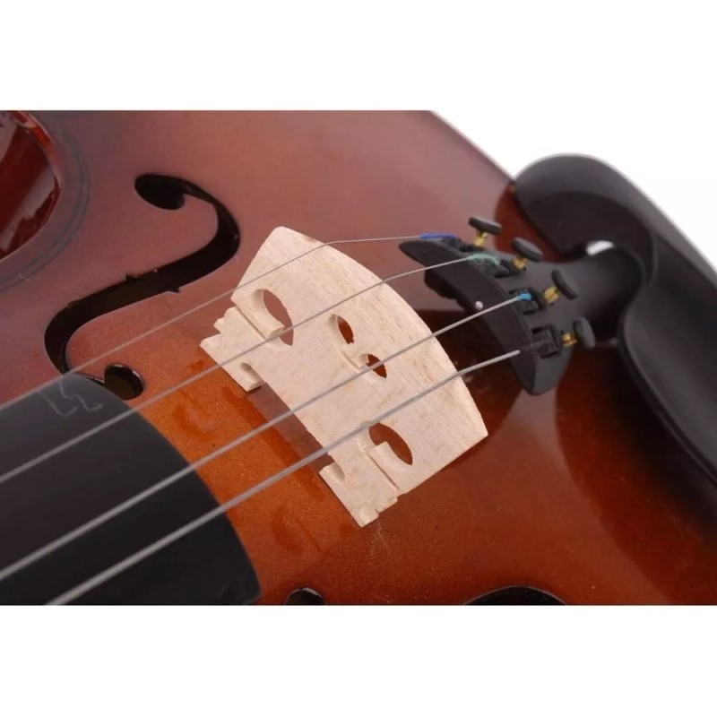 CMT Violin for Beginners Students,Acous