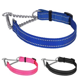 CollarDirect Martingale Dog Collar Training Adjustable Stainless Steel Chain Reflective Nylon Pet Collars for Medium Large Dogs (L, Neck Fit 16"-24", Blue)