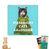 Cat Calendar 2026 Calendar UK, Funny 2026 UK Grumpy Cat