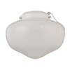 Westinghouse Lighting 7785300 LED Schoolhouse Indoor/Outdoor Ceiling Fan Light Kit,