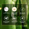 Herbal Essences Shampoo Bio Renew 6x Aloe & Sea Kelp