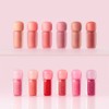 Clio Volume Mate Tint (Blur 3.8g/Gloss 3g) / 클리오 볼륨메이트