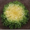 RAISE ME UP: Seeds Endive Curly Frisee Lettuce Non GMO