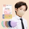 Arte Beak-shaped Disposable Color Mask Small Beige 50 Sheets /