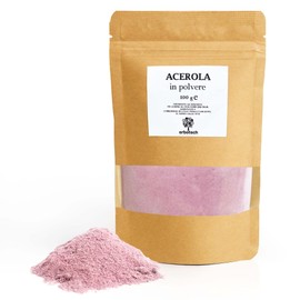 ERBOTECH, Acerola Powder 100g Pack Natural Source of Vitamin C with Antioxidant Properties Vegan
