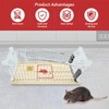 Xpieoyrm Pack of 3 Mouse Traps
