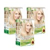 Garnier Nutrisse Nourishing Intensive Hair Colour with Nourishing Fruit Oils,