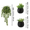 Winlyn Set of 3 Artificial Succulents Plants in Black Cement