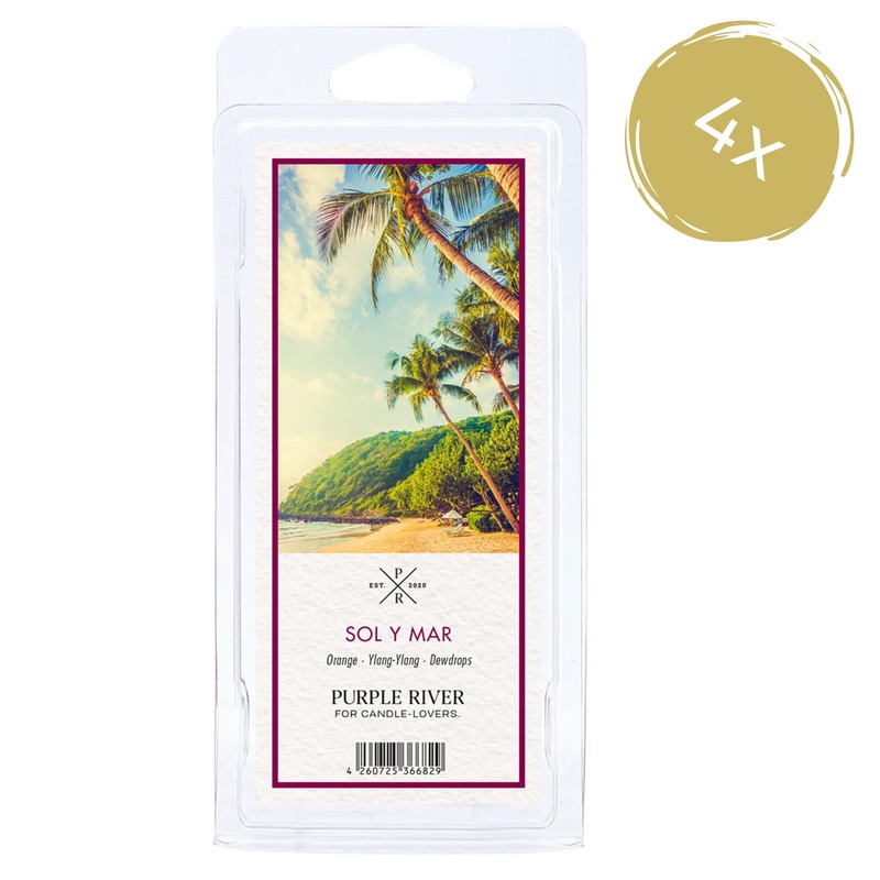 Purple River Scented Wax Melts Set of 4 (Set of