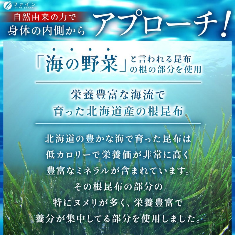 ファイン 根昆布エキス粒 フコイダン58mg配合 国内生産 50日分 (1日10粒/500粒入)×2個セット