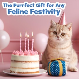 PUPROAR Kitty Gift Box Catnip Toy – Crinkle Cat Toy for Indoor Cats, Cute Plush Birthday Present Cat Toy with Catnip Inside