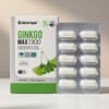 ANGET ORIGIN Angelt Origin Ginkgo Max 1300 30 capsules 1 / 엔젯오리진 징코 맥스 1300 30캡슐 1개