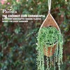 PANWA Handmade 100% Thai Bamboo Hanging Basket Coconut Coir Cornucopia
