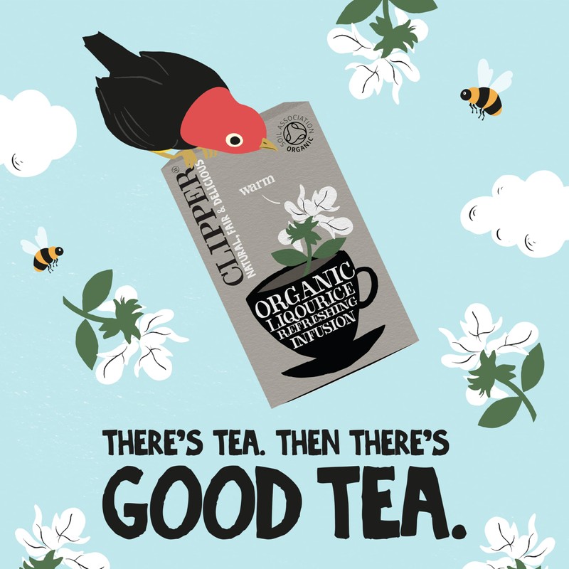 Organic Infusion Liquorice Tea - 20bags