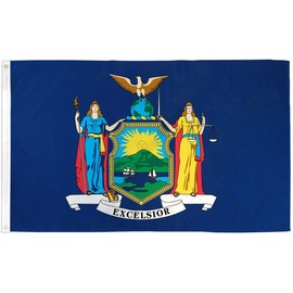 New York Flag NY State Banner Pennant 2x3 foot Indoor Outdoor 24x36 inches New