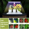Desk Grow Lights for Indoor Plants Full Spectrum Desk LED