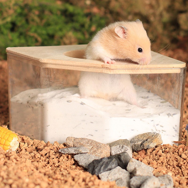 FiboPawer Hamster Sand Bath for Hamsters, Gerbils, Chinchillas, 2.2Lbs Less