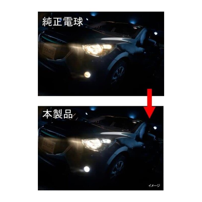 Polarg (pora-gu) Halogen Bulb [Medium – 95] k [Number] p0898 W