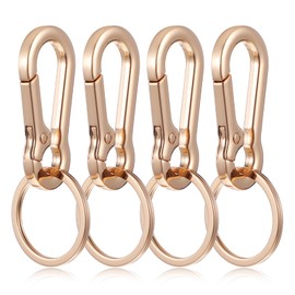 Andibro 4Pack Metal Keyring, Key Ring Chain Clip Keychains Heavy Duty Carabiner with Keyring Clips for Car Key(4)