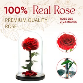 LOVAPPY Forever Preserved Rose - Eternal Rose in Glass Dome - Beauty and The Beast Rose for Mom - Fresh Flowers in Glass (Red, 9 Inch)