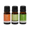 ECO. Modern Essentials Essential Oil Trio Scent of Summer 10ml