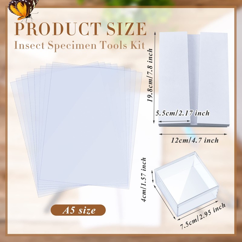 Taiyin 14 Pieces Insect Specimen Tools Kit Insect Display Case