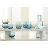 Santa Barbara Design Studio Seeded Drinking Glasses, Roly Poly Tumbler,