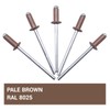 Pack of 50 Painted Blind Rivets 3.2 x 8 mm,