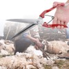 Haofy Manual Sheep Shearing, Goat and Sheep Wool Trimmers Stainless