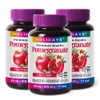 Holidays Pomegranate Extract 90 tablets, 3 bottles (9 month supply)