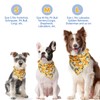 SCENEREAL Summer Floral Dog Bandana, Double Side Dog Scarf for