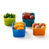 Planetbox Pods for Rover (4pk), Blossom