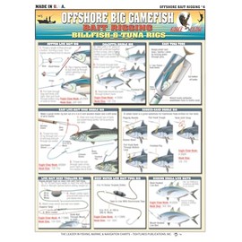 Tightlines Offshore Bait Rigging Billfish Tuna 4