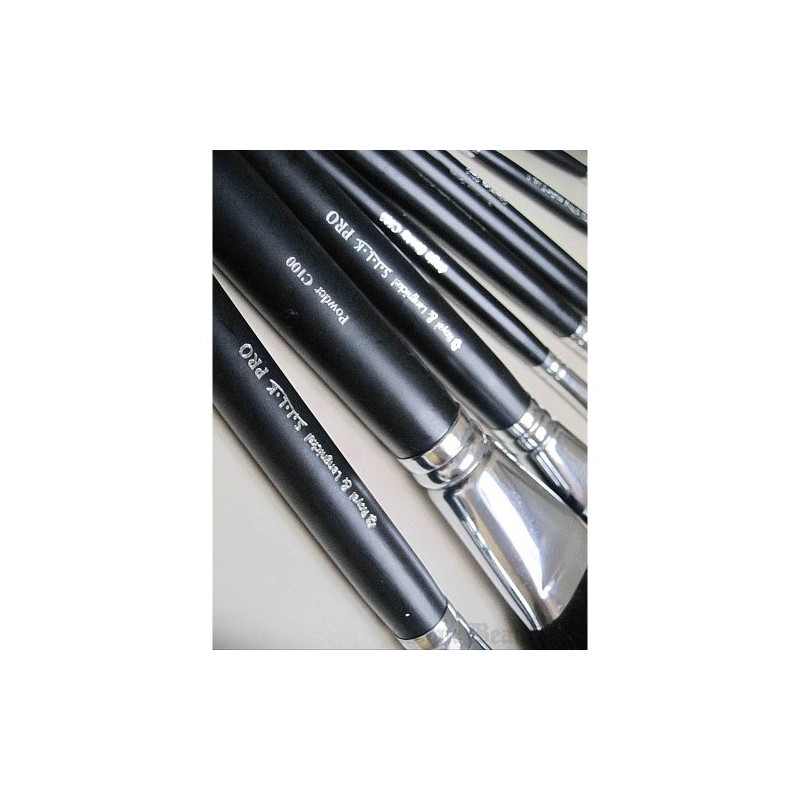 Royal Brush S.I.L.K set de brochas para viaje 12 piezas