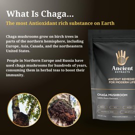 Ancient Extracts Chaga Mushroom Extract Powder - Minimum 30% Beta Glucans - GMO Free, Gluten Free, Vegan - Increased Energy, Performance, Endurance - Superfood, Adaptogen (60g)