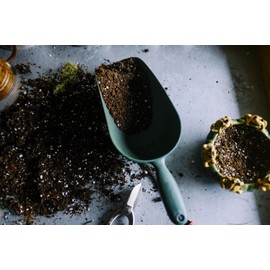 Nature's Living Soil GIRL FLOWER POWER by NATURE'S LIVING SOIL- Organic Living Soil Flower Enhancer