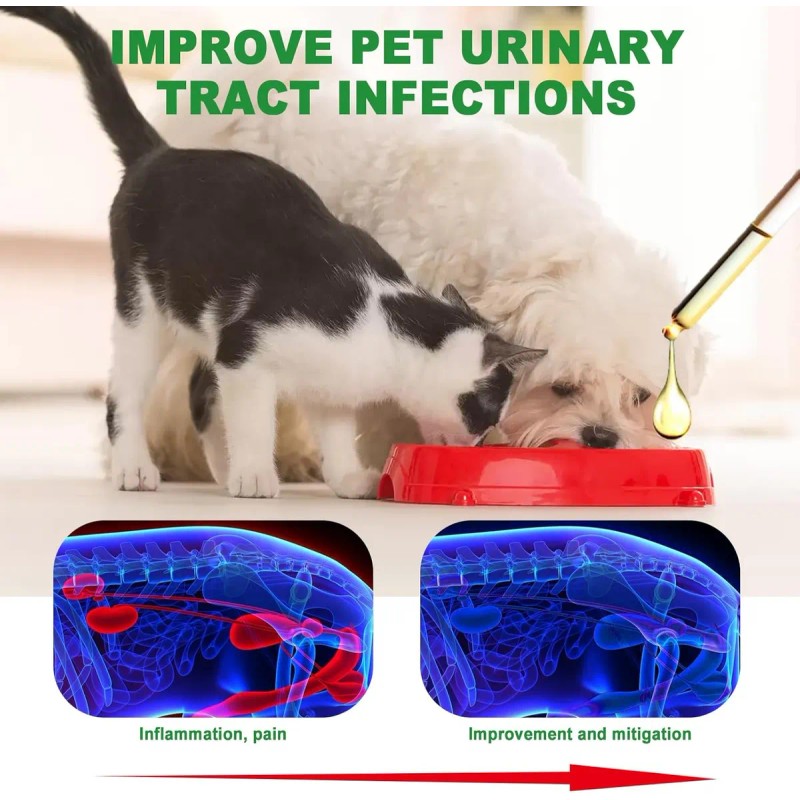 Medicina Natural Para Infecciones Urinarias En Perros
