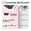 BEYELIAN Lashes Clusters D Curl 182 Pcs 10-16mm Cluster Lashes