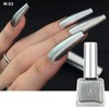 ROZYHIP Siver Collection Metallic Style Gel Nail 10ml, Color:RM01
