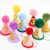 Pet Birthday Hat with Interchangeable Numbers 1-10 | Adjustable Pet