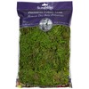 SuperMoss (25322) Forest Moss Preserved, Fresh Green, 8oz