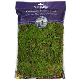 SuperMoss (25322) Forest Moss Preserved, Fresh Green, 8oz