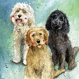 ALEX CLARK Cockapoos Blank Greeting Card