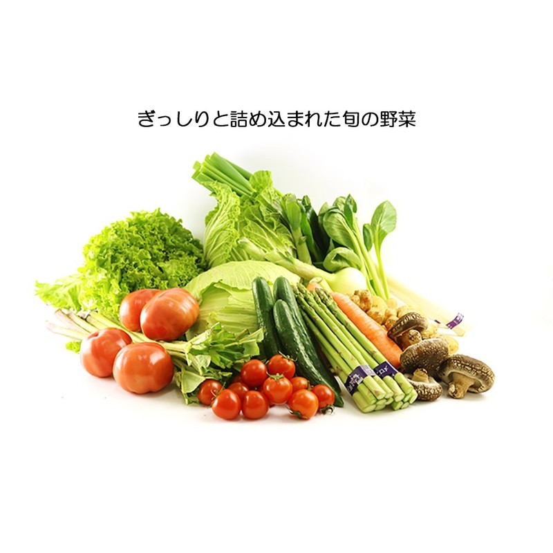 Shichijo Town Specialty Product Center: Kikuchi Pickle, Vegetable Mix, 5.6