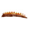 Nicky Bigs Novelties Adult Triceratops Dragon 3 Horn Dinosaur Headband