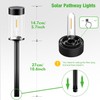 nipify LED Solar Pathway Lights Outdoor, 12 Pack Bright Solar