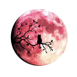 Glow in The Dark Wall or Ceiling Moon Stickers – Luminous Decal Sticker for Simulated Planet Effect at Night – Red 3D Earth Black Tree Cat