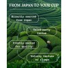 Naturalebio Té Verde Matcha En Polvo Orgánico 99 G